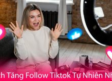 Cách Tăng Follow Tiktok Tự Nhiên Nhất cách tăng follow cho Tiktok