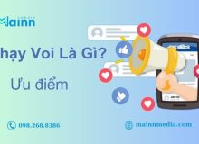 Chạy Voi Là Gì? 5 Bí Quyết Thành Công chạy voi facebook